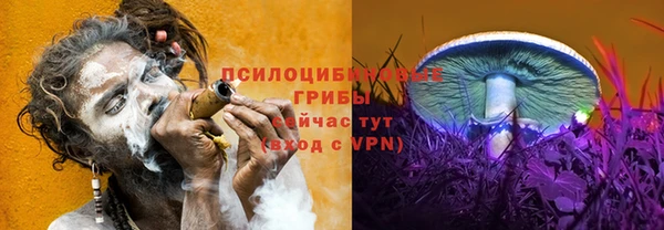 прущая мука Бугульма